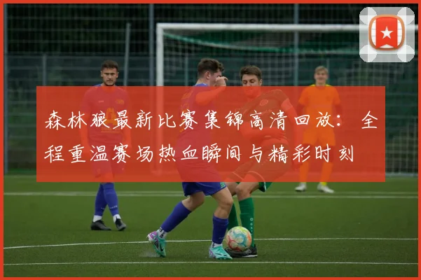 森林狼最新比赛集锦高清回放：全程重温赛场热血瞬间与精彩时刻
