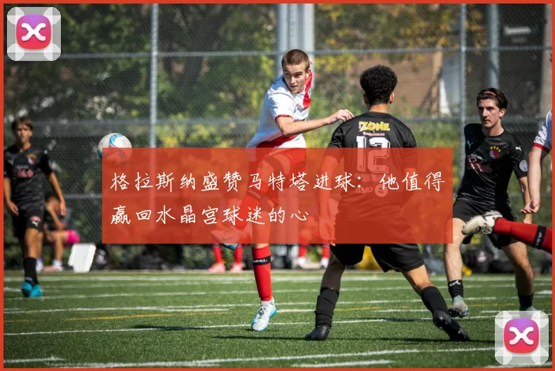 格拉斯纳盛赞马特塔进球:他值得赢回水晶宫球迷的心