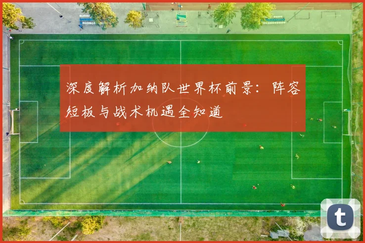 深度解析加纳队世界杯前景：阵容短板与战术机遇全知道